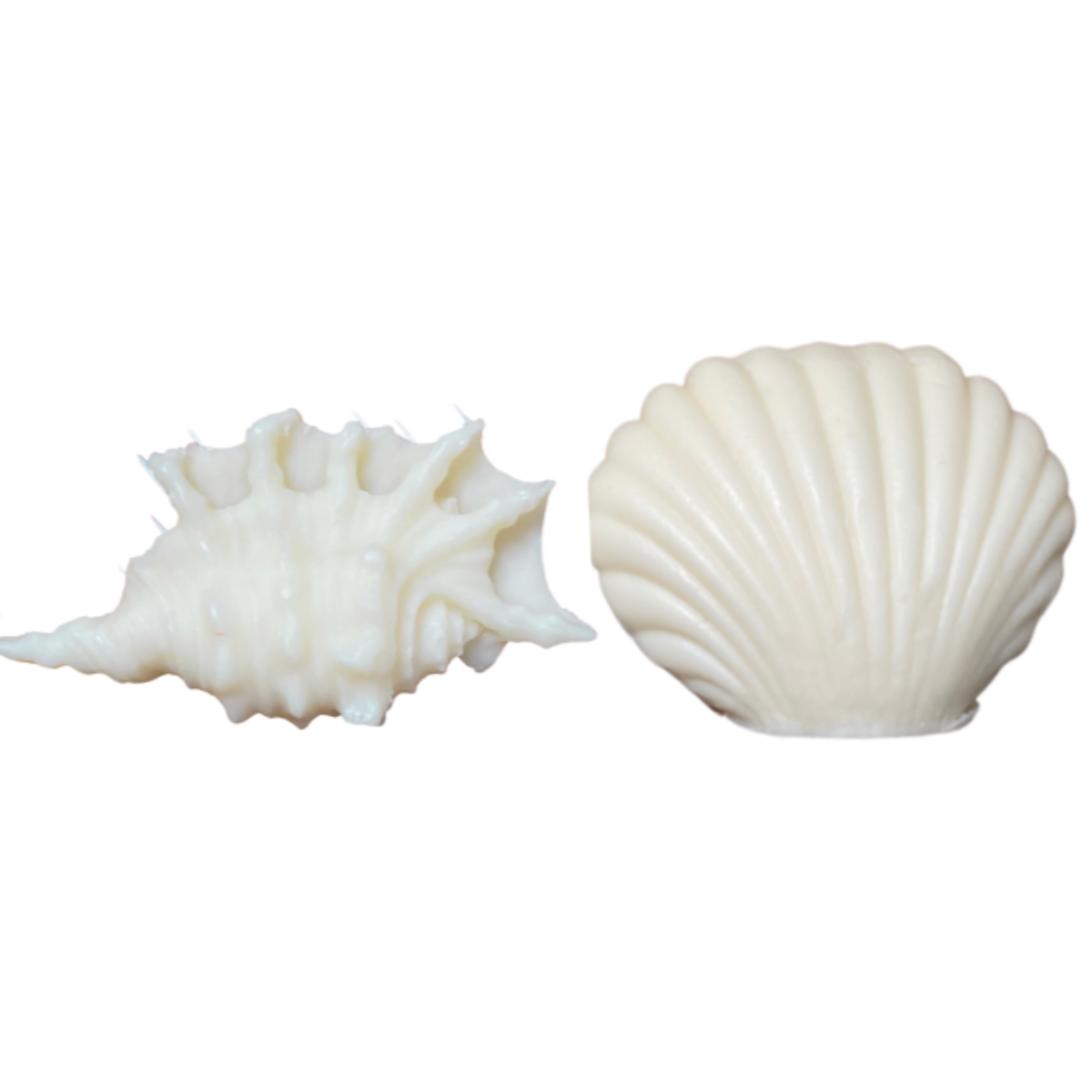 Jabones conchas de mar
