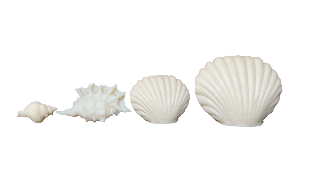 Jabones conchas de mar