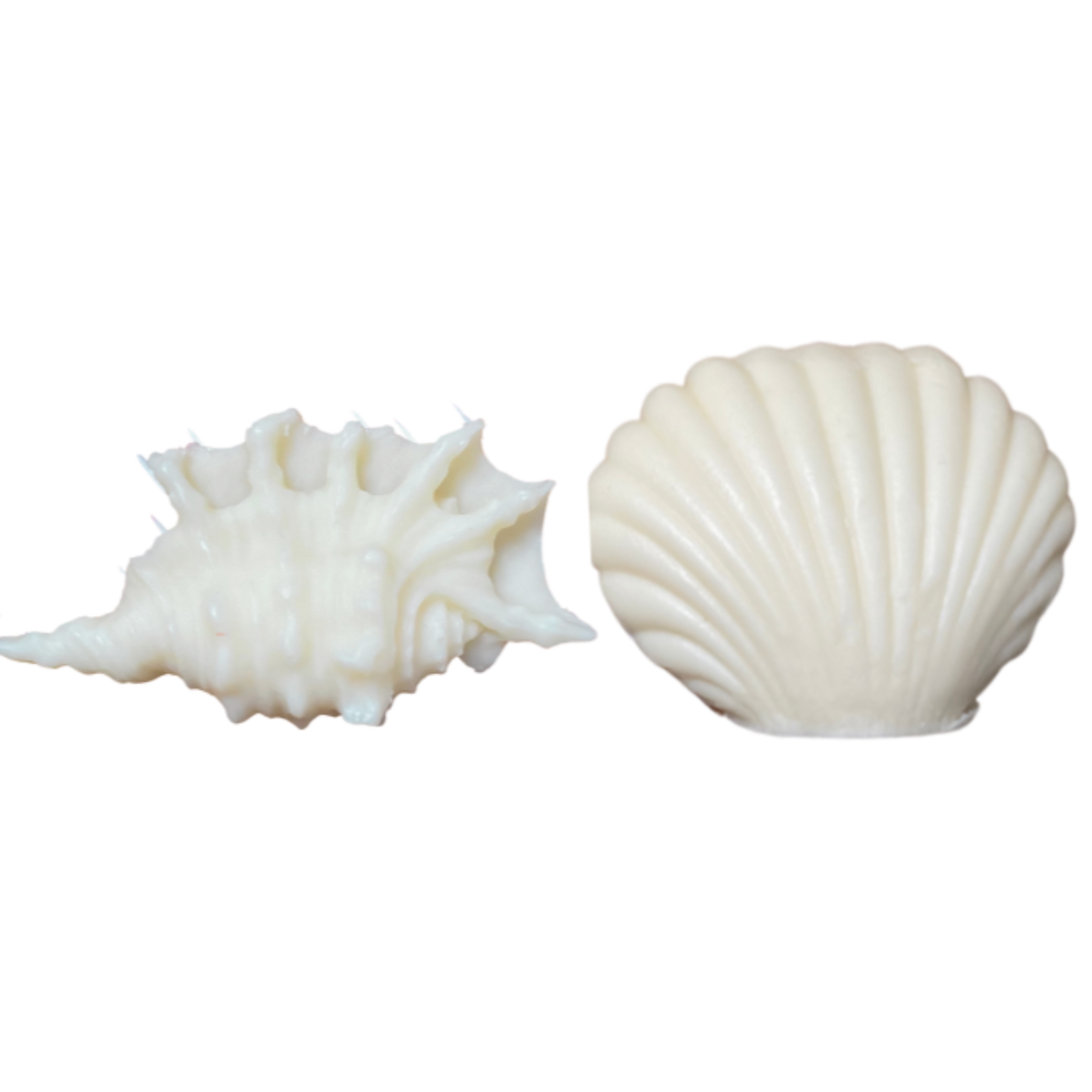 Jabones conchas de mar